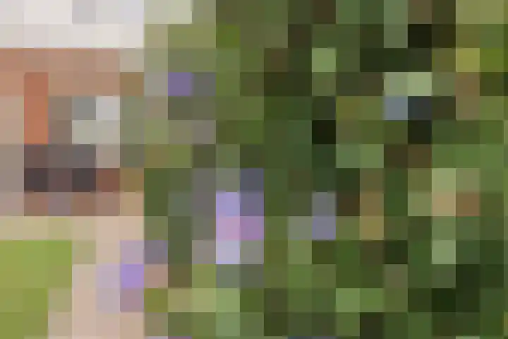 De Patrijs 8 Meerlo thumbnail 40