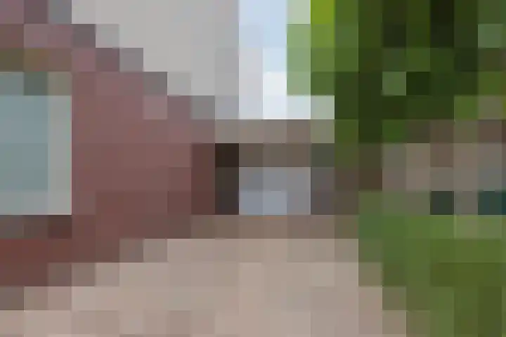 De Patrijs 8 Meerlo thumbnail 42