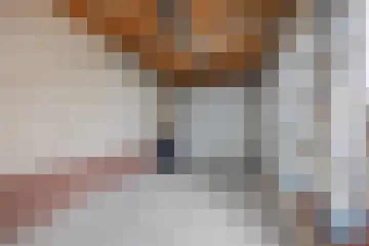 De Patrijs 8 Meerlo thumbnail 43
