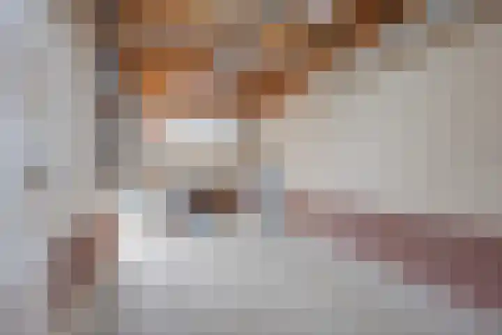 De Patrijs 8 Meerlo thumbnail 44