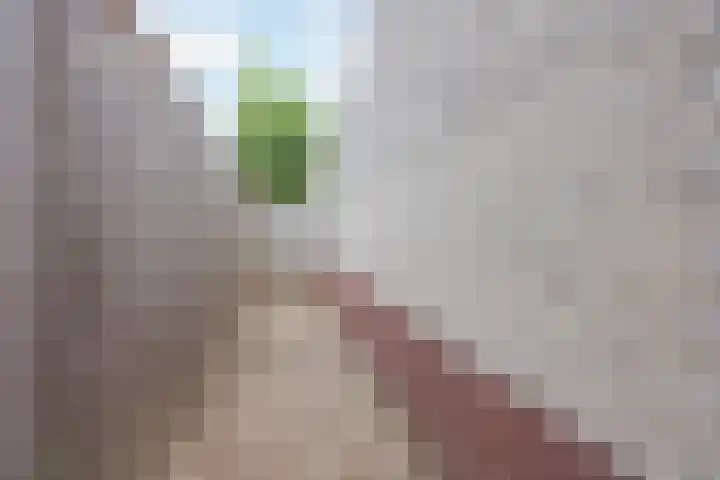 De Patrijs 8 Meerlo thumbnail 45