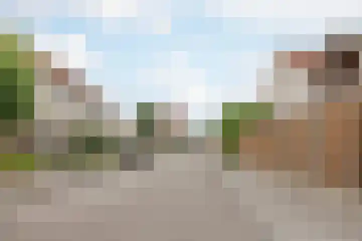 De Patrijs 8 Meerlo thumbnail 46