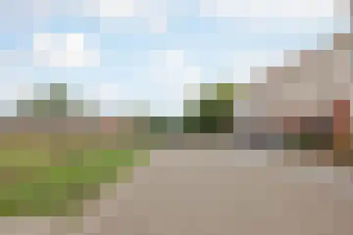 De Patrijs 8 Meerlo thumbnail 47