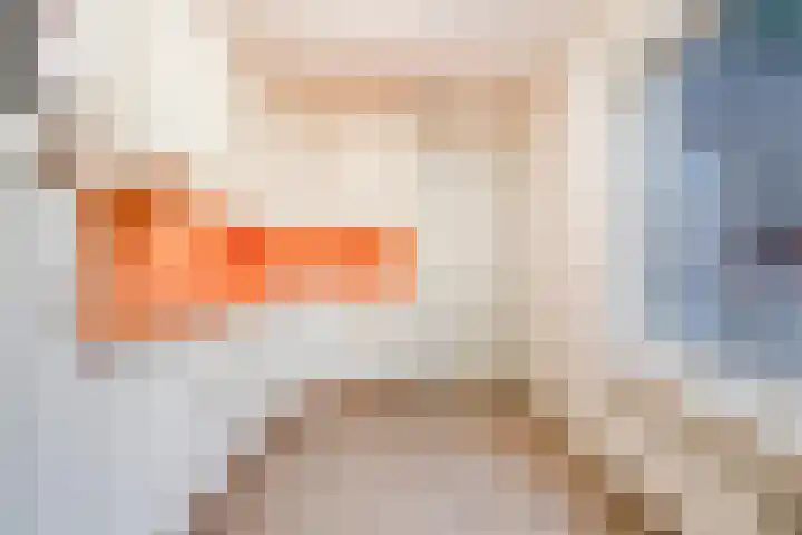 De Patrijs 9 Meerlo thumbnail 21