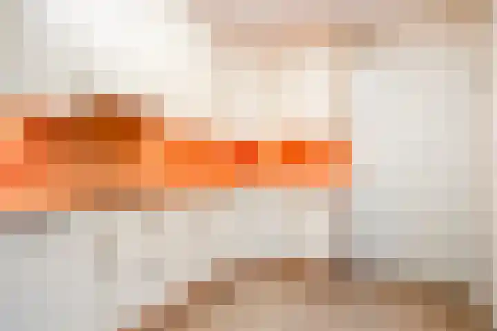 De Patrijs 9 Meerlo thumbnail 22