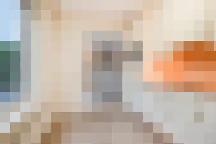 De Patrijs 9 Meerlo thumbnail 23