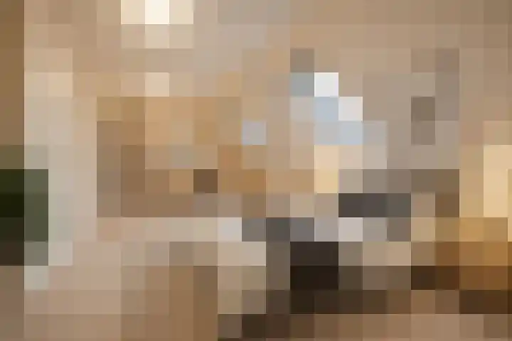 De Patrijs 9 Meerlo thumbnail 39
