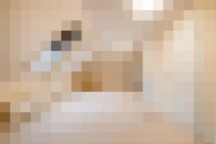 De Patrijs 9 Meerlo thumbnail 40