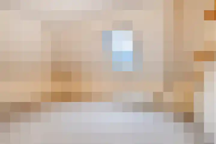 De Patrijs 9 Meerlo thumbnail 41