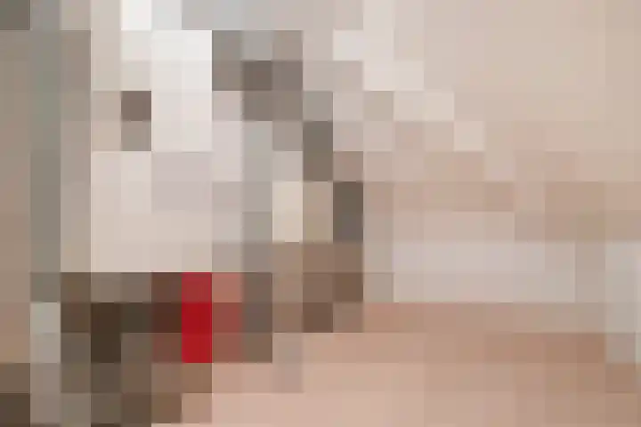 De Patrijs 9 Meerlo thumbnail 43