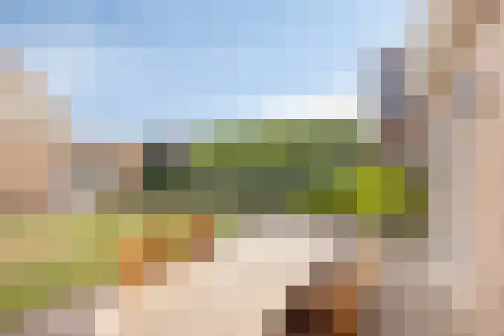 De Patrijs 9 Meerlo thumbnail 46