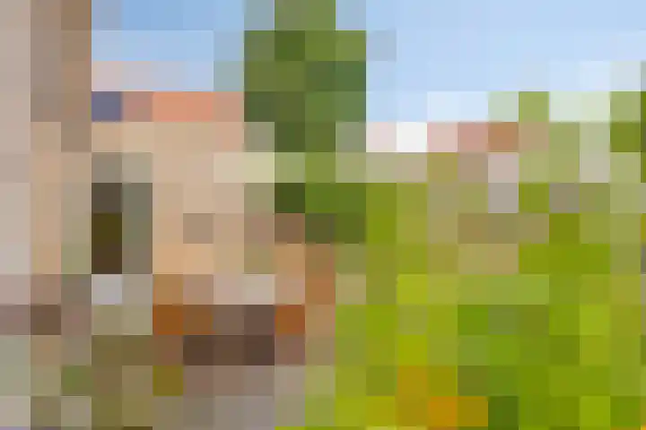 De Patrijs 9 Meerlo thumbnail 47