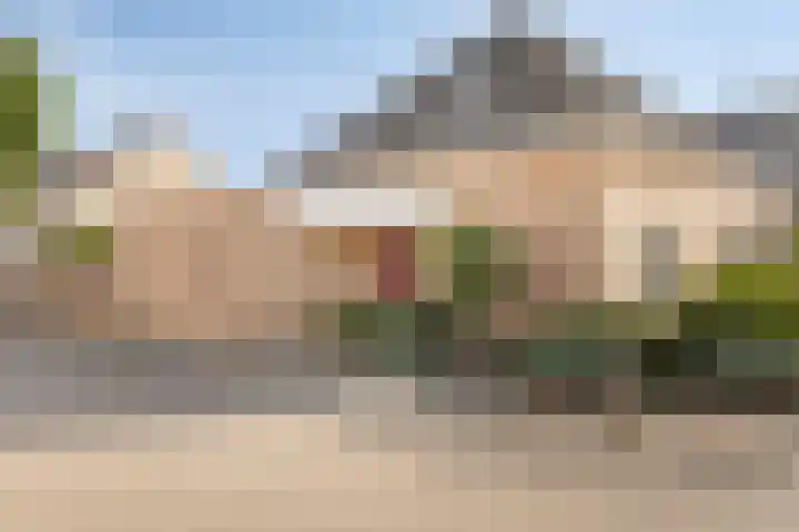 De Patrijs 9 Meerlo thumbnail 5
