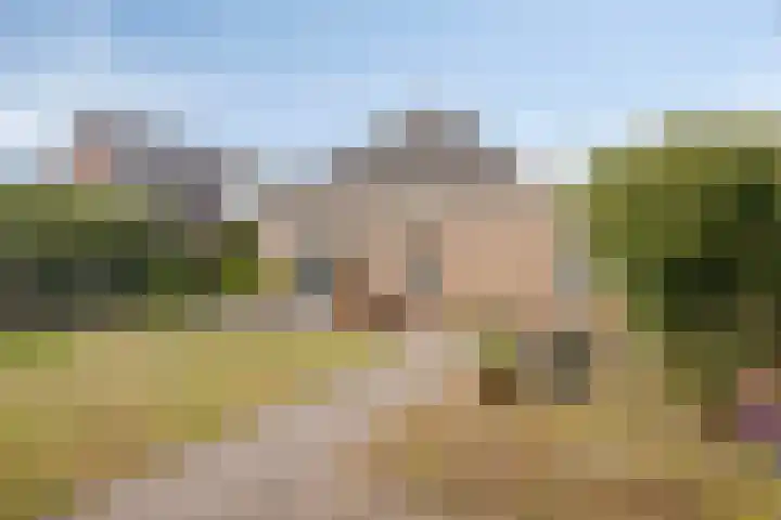 De Patrijs 9 Meerlo thumbnail 51