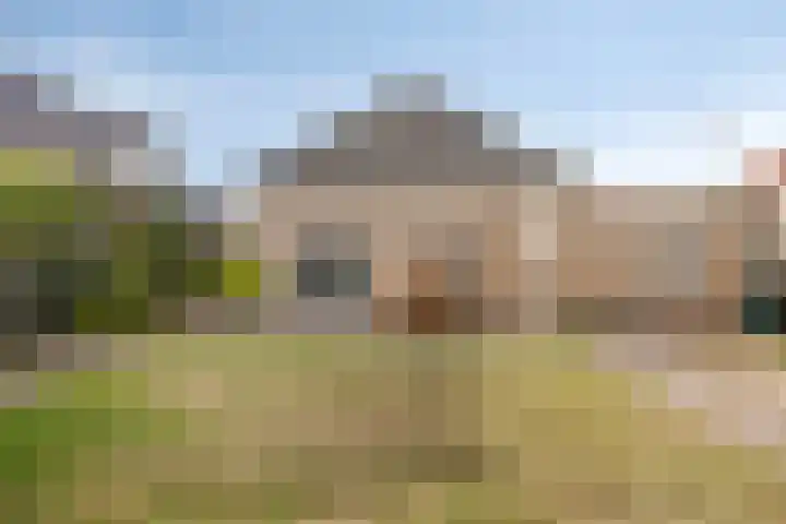 De Patrijs 9 Meerlo thumbnail 52
