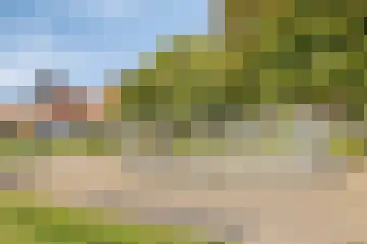 De Patrijs 9 Meerlo thumbnail 54