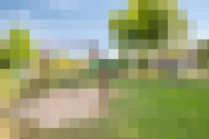 De Patrijs 9 Meerlo thumbnail 55