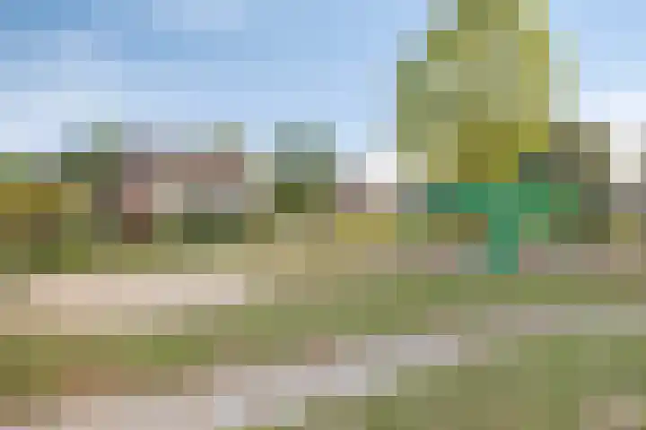 De Patrijs 9 Meerlo thumbnail 56