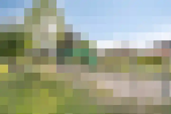 De Patrijs 9 Meerlo thumbnail 57