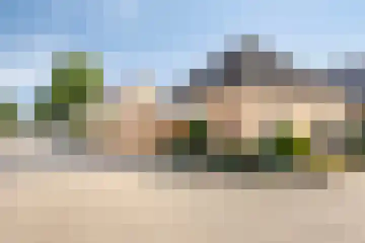 De Patrijs 9 Meerlo thumbnail 7