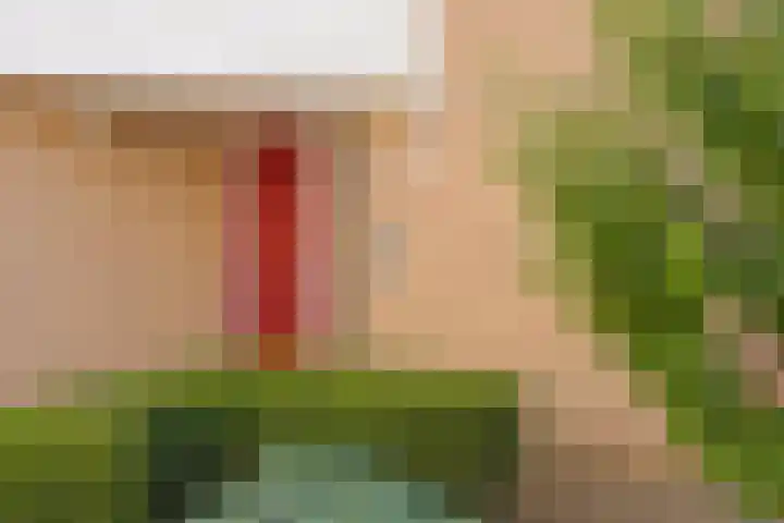 De Patrijs 9 Meerlo thumbnail 8
