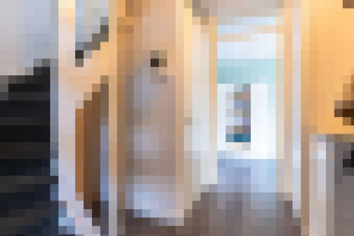 De Pauw 6 Venhuizen thumbnail 12
