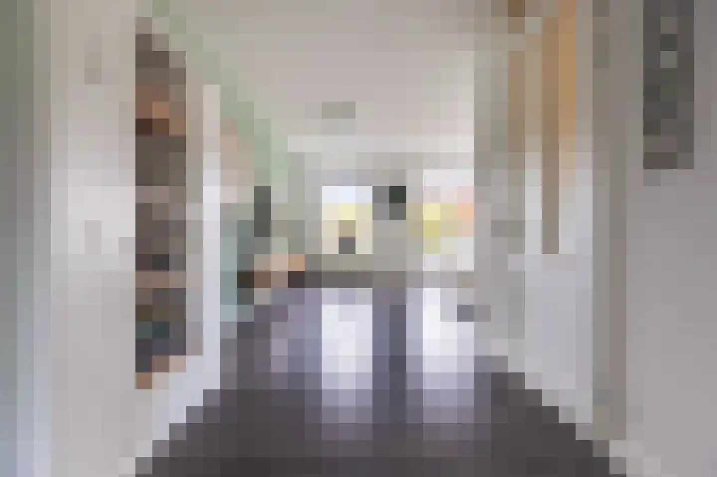 De Pauw 6 Venhuizen thumbnail 17