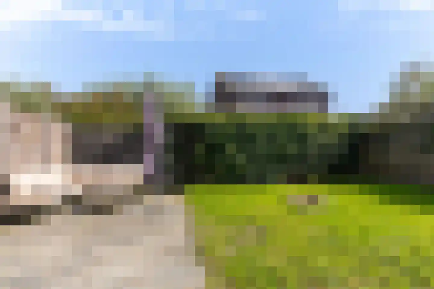 De Pauw 6 Venhuizen thumbnail 26