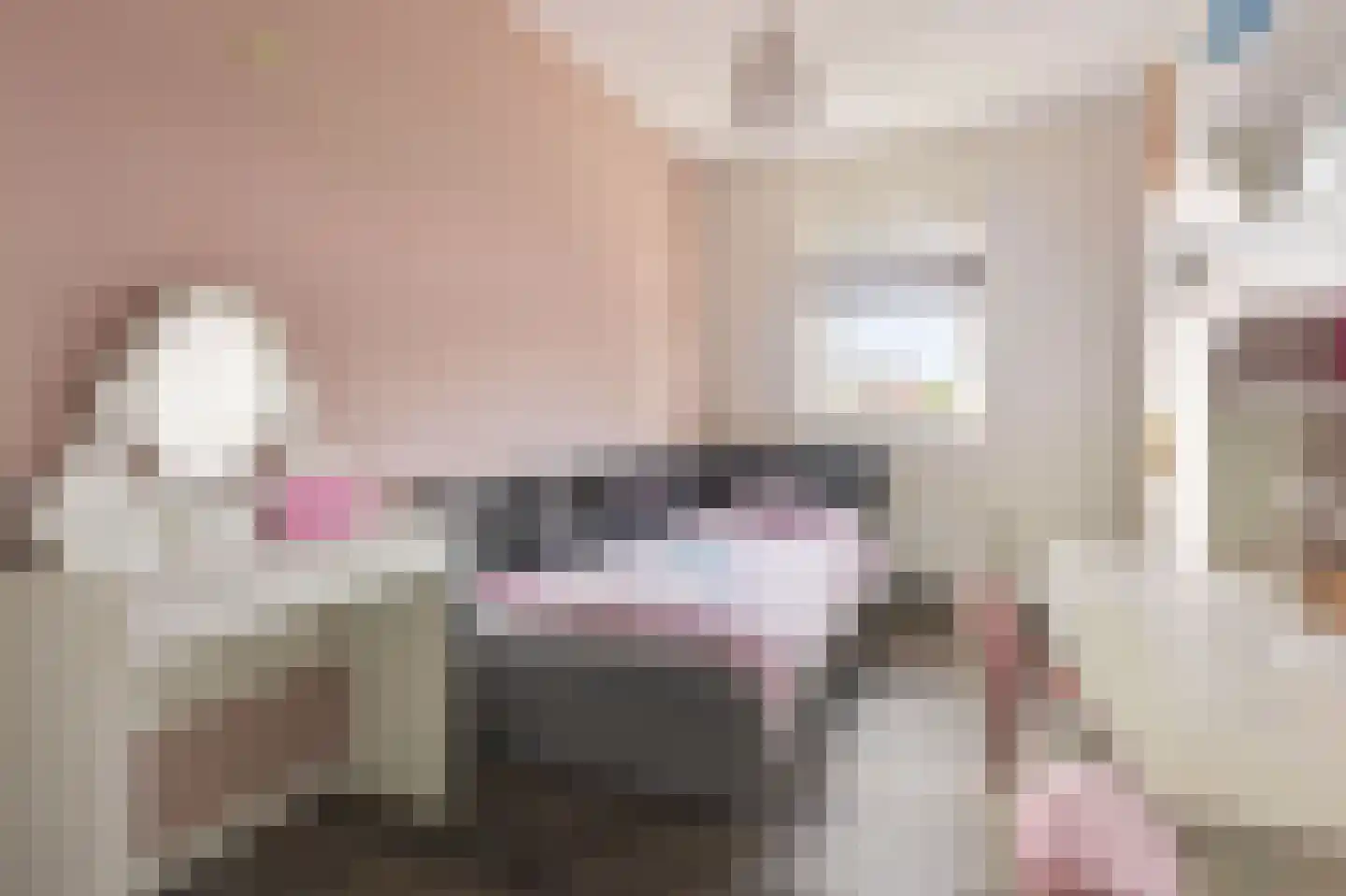 De Pauw 6 Venhuizen thumbnail 29