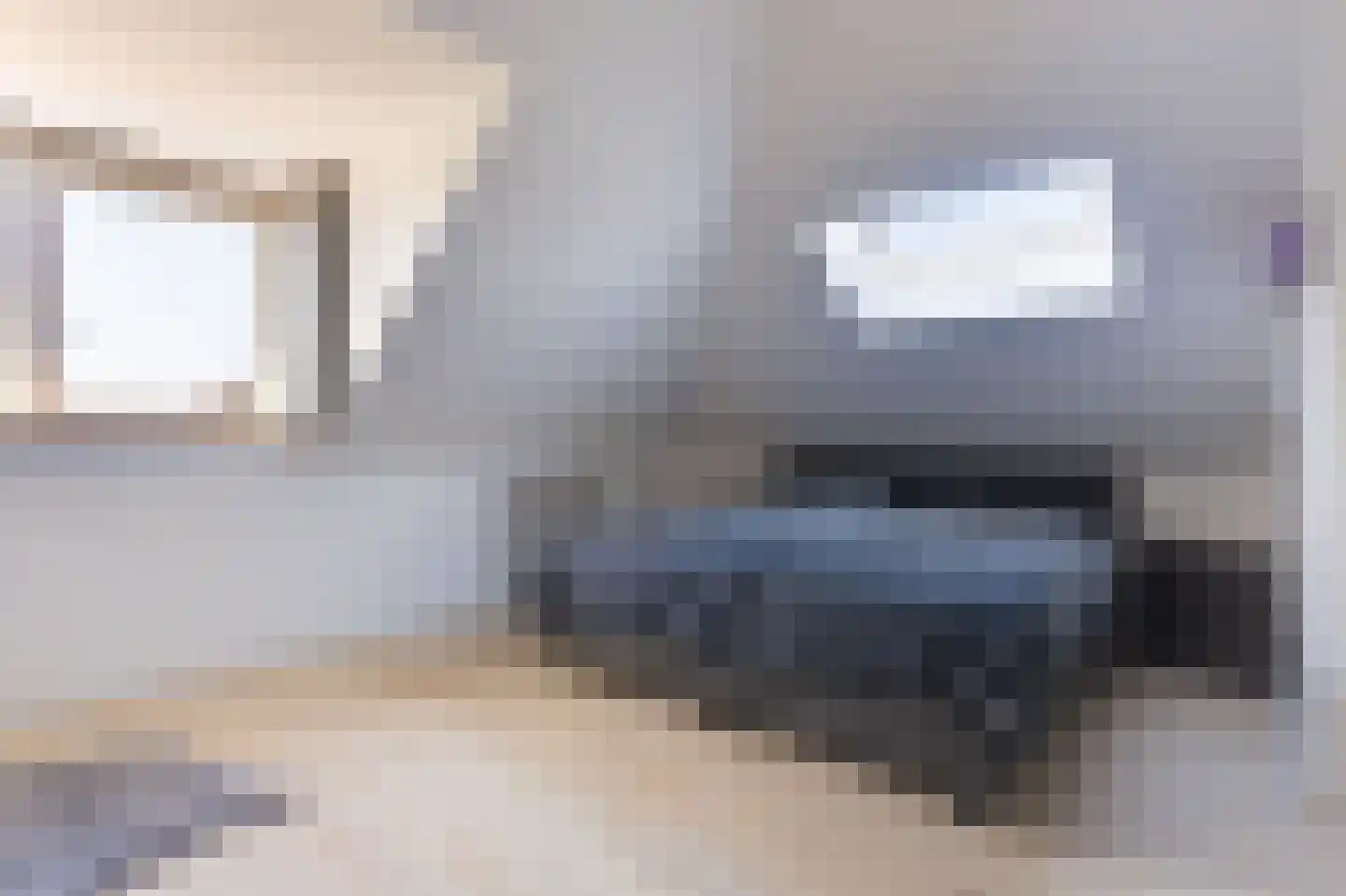 De Pauw 6 Venhuizen thumbnail 39