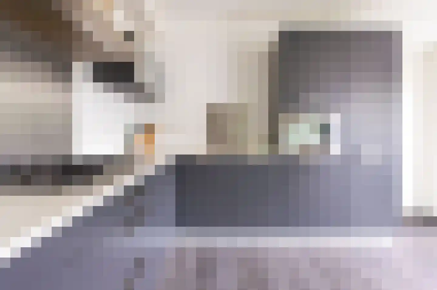 De Pauw 6 Venhuizen thumbnail 4