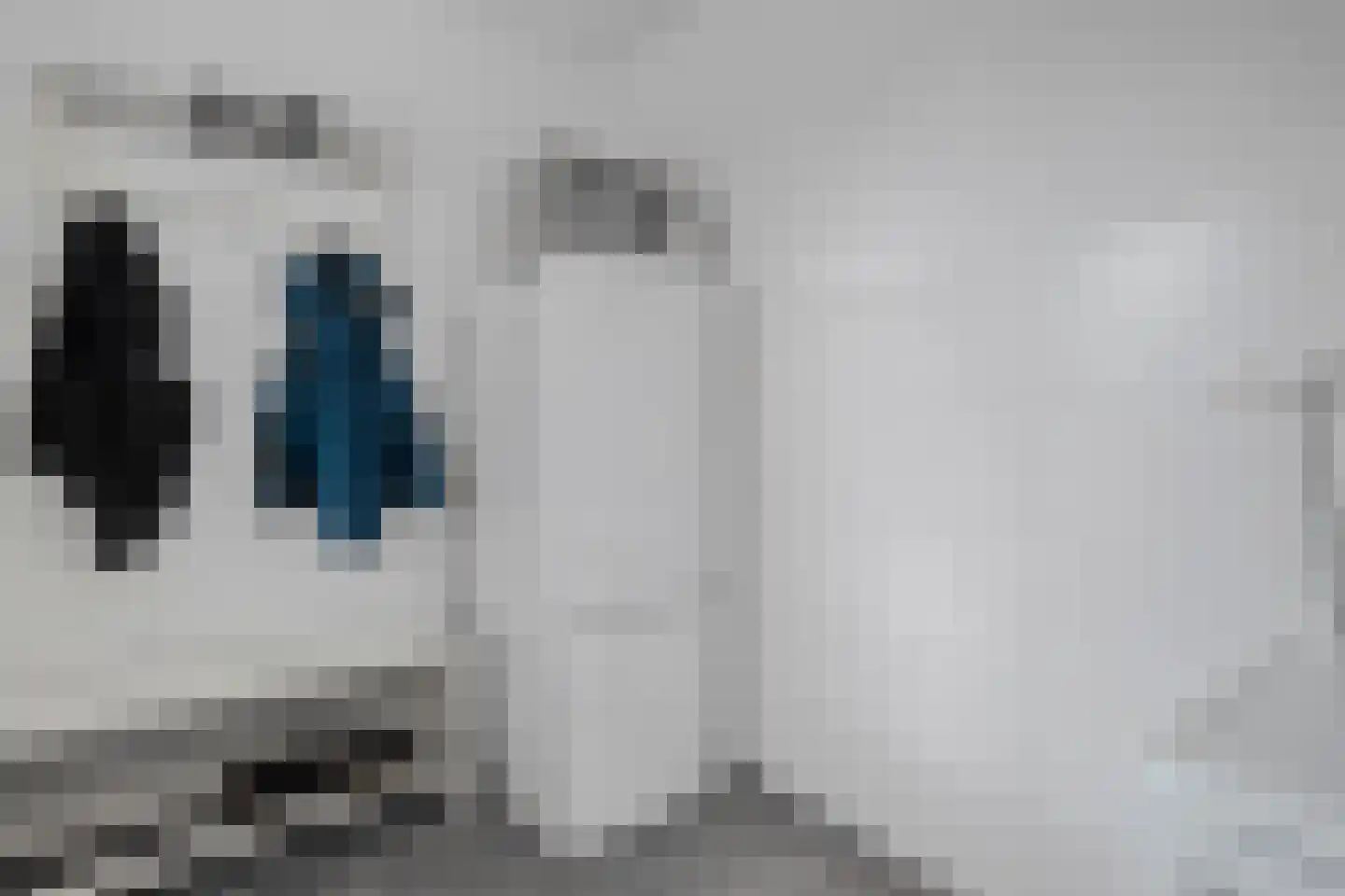 de Pauwe 4 c Nieuw Heeten thumbnail 13