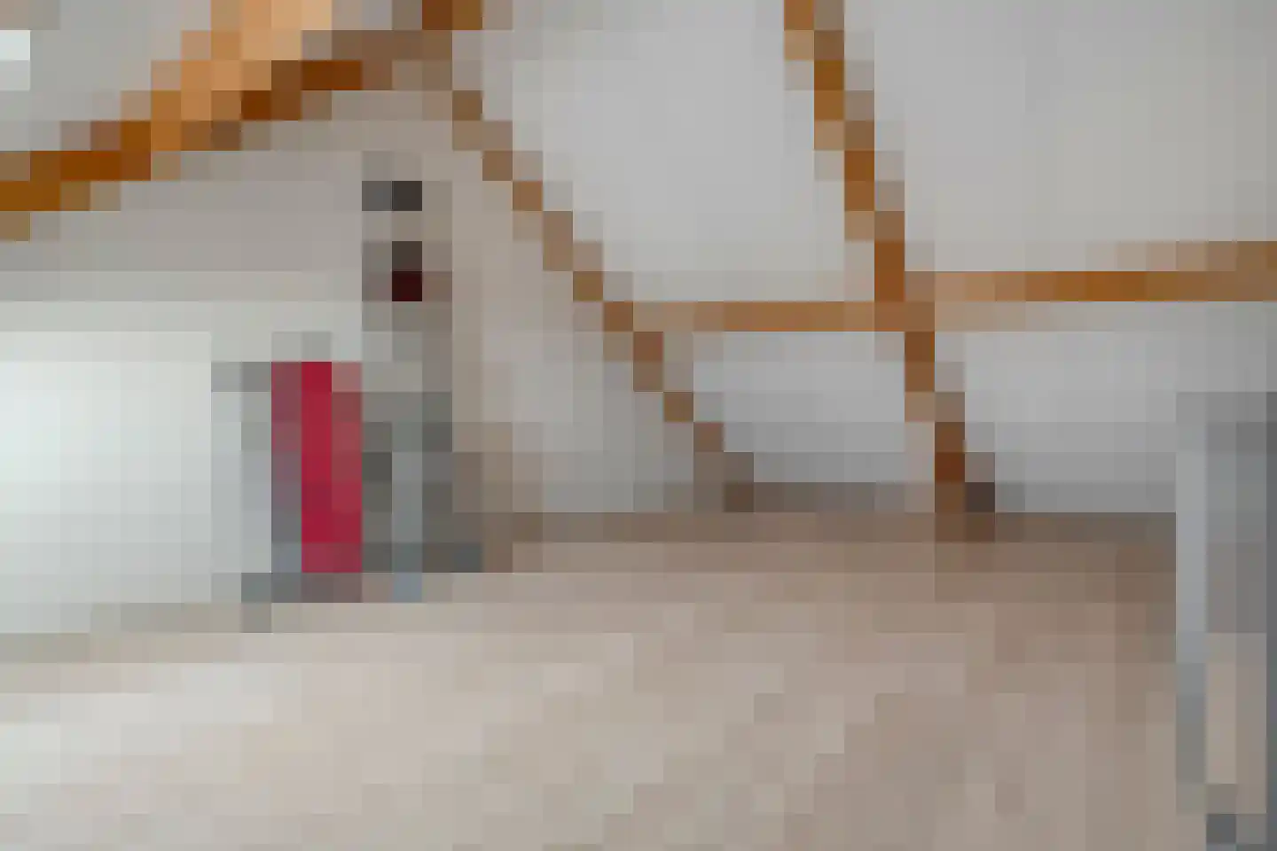 de Pauwe 4 c Nieuw Heeten thumbnail 27