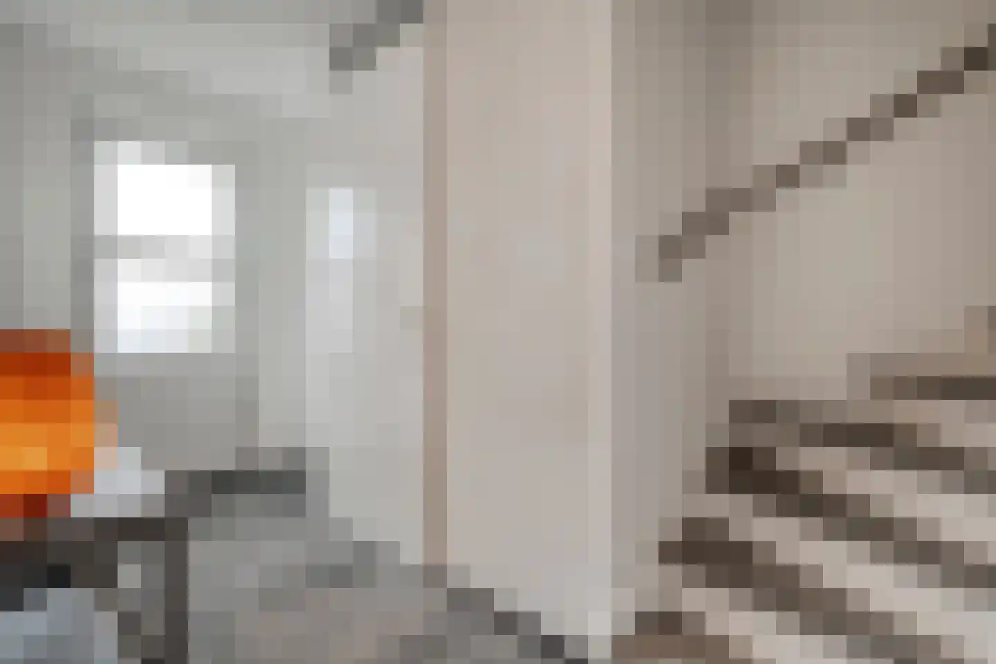 de Pauwe 4 c Nieuw Heeten thumbnail 4