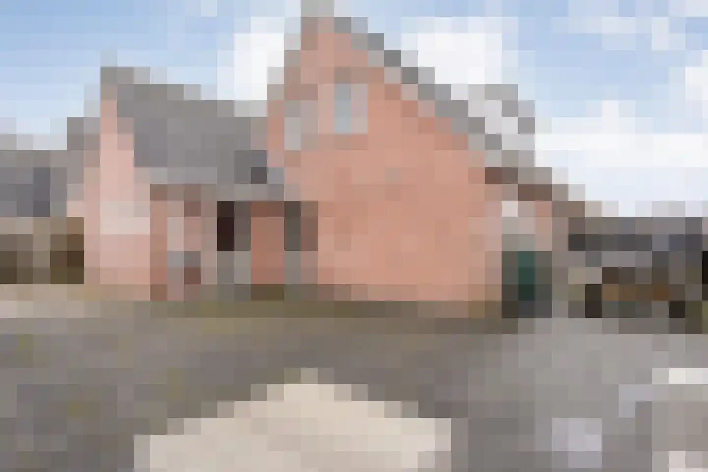 de Pauwe 6 Nieuw Heeten