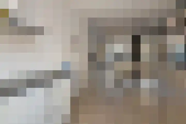 de Pauwe 6 Nieuw Heeten thumbnail 10