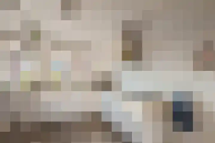 de Pauwe 6 Nieuw Heeten thumbnail 12