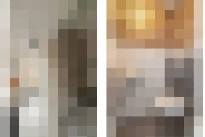 de Pauwe 6 Nieuw Heeten thumbnail 16