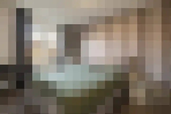 de Pauwe 6 Nieuw Heeten thumbnail 17