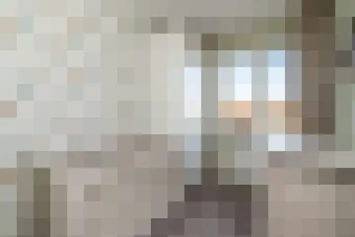 de Pauwe 6 Nieuw Heeten thumbnail 19