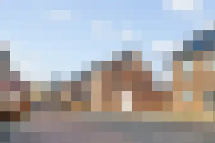 de Pauwe 6 Nieuw Heeten foto 2