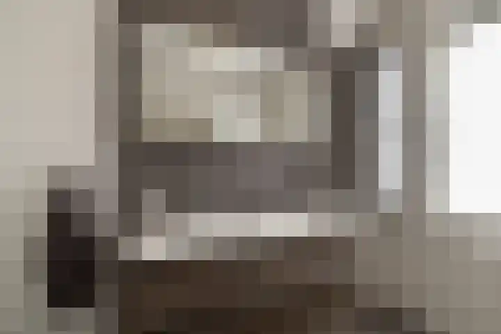 de Pauwe 6 Nieuw Heeten thumbnail 22