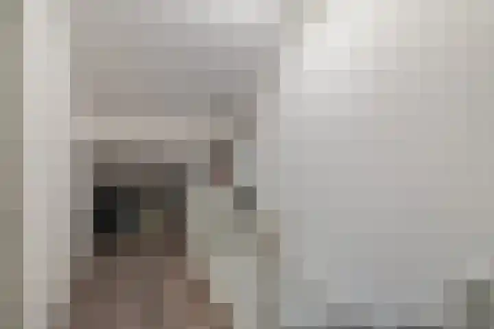 de Pauwe 6 Nieuw Heeten thumbnail 25