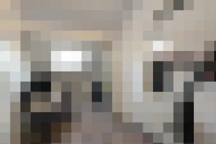 de Pauwe 6 Nieuw Heeten thumbnail 26