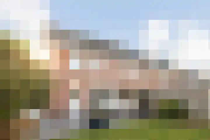 de Pauwe 6 Nieuw Heeten thumbnail 28