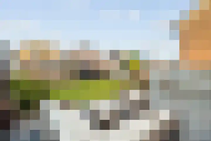 de Pauwe 6 Nieuw Heeten thumbnail 30