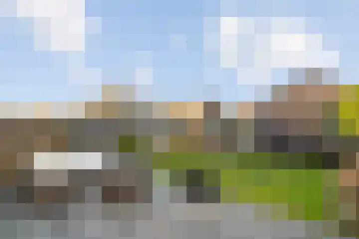 de Pauwe 6 Nieuw Heeten thumbnail 31