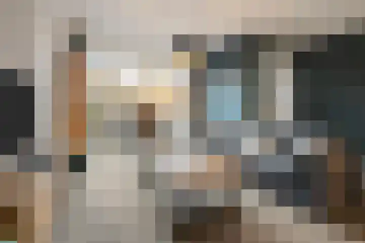 de Pauwe 6 Nieuw Heeten thumbnail 4
