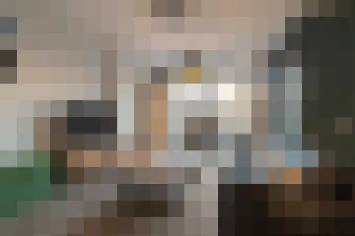de Pauwe 6 Nieuw Heeten thumbnail 5