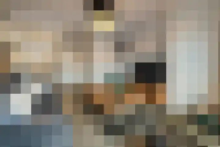 de Pauwe 6 Nieuw Heeten thumbnail 6
